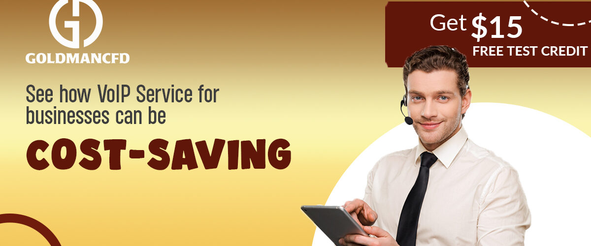 VoIP Service for businesses